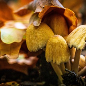 AE937F6F-835E-473C-8801-540BC7C1BADE