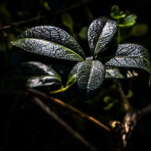 D1DF3D66-EBB7-4702-B5AD-E615A93A0496