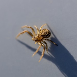 0ED30964-11A9-4FD5-A8EC-4CF31CD8CD65