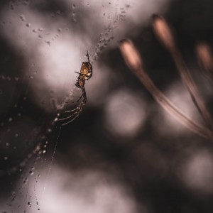E633C6B4-D070-44C4-8626-8B4FEB9FFF49