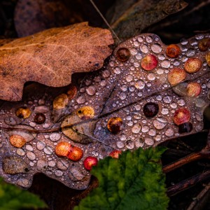 DD09B167-BE2C-48F5-9395-76DC4ED9263F