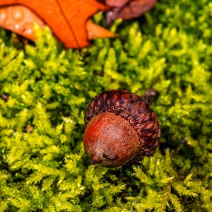 A221FB33-F9C2-4822-B33D-8286B4B2DB44