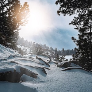 5F902C73-E858-461A-AE27-EFCC32206098