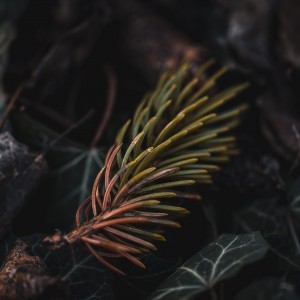 4AAC9710-104C-4F37-8355-3A8592930311