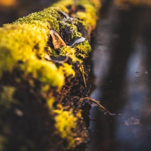 9E170126-E0C7-48CF-AAE2-84391F88B439