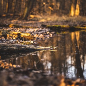 E5982B5A-FD9C-4D71-BB4B-5C48EB178E17