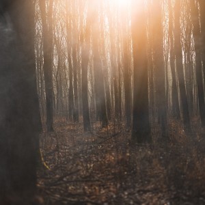 B4AF5935-BE2E-4A43-B9C2-931927D6F324