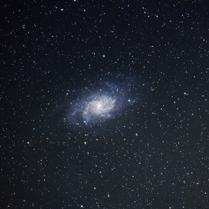 M33