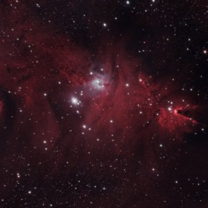 NGC2264