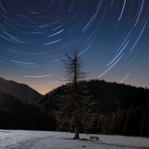 Startrails