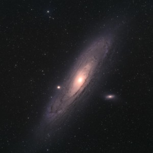 M31