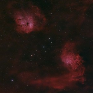 Tadpoles and Flaming Star Nebula