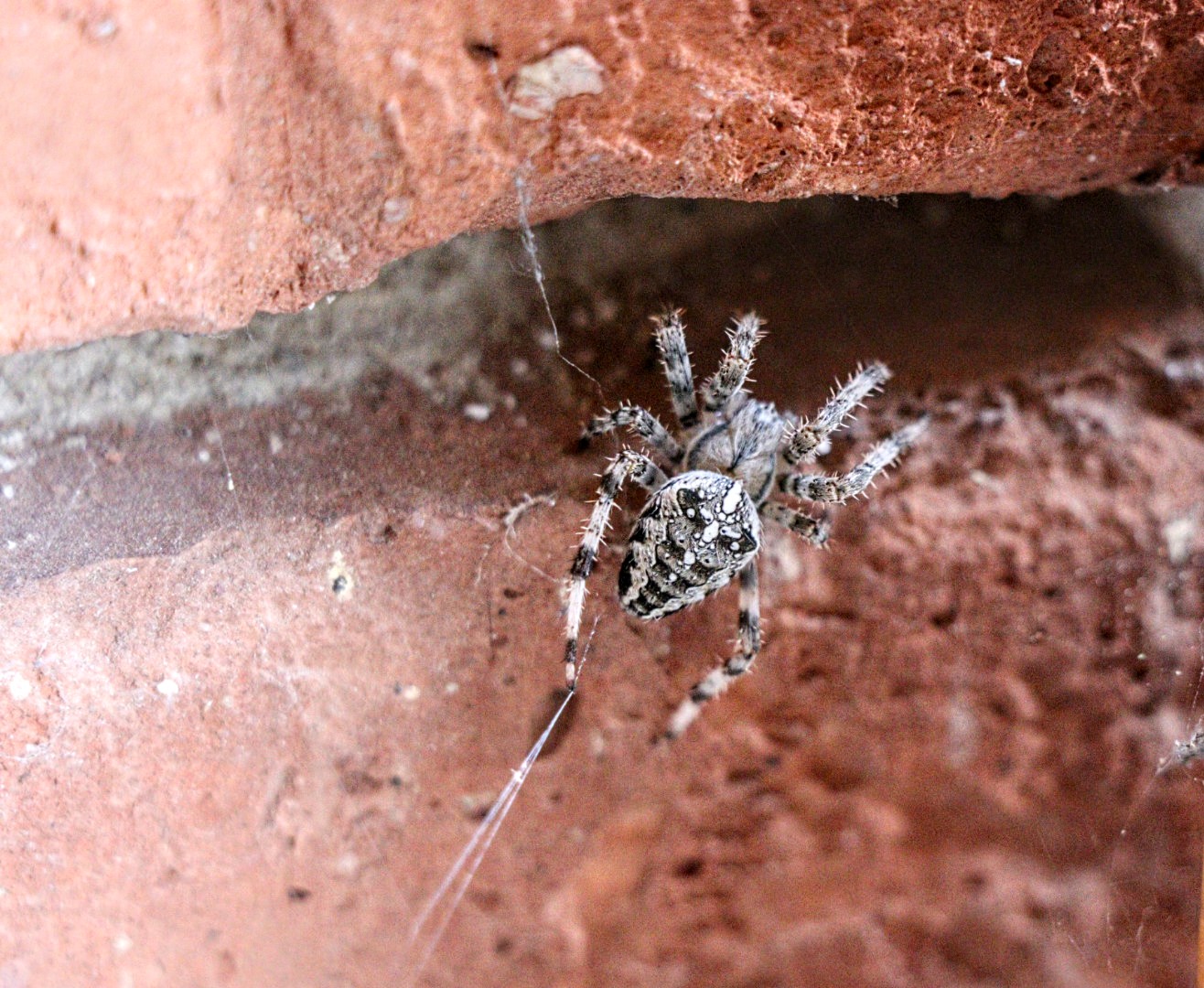 20210828122938_IMG_5231~2