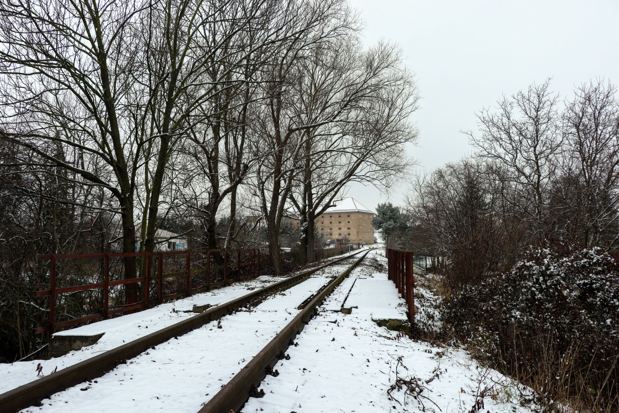 20211204154918_IMG_7319