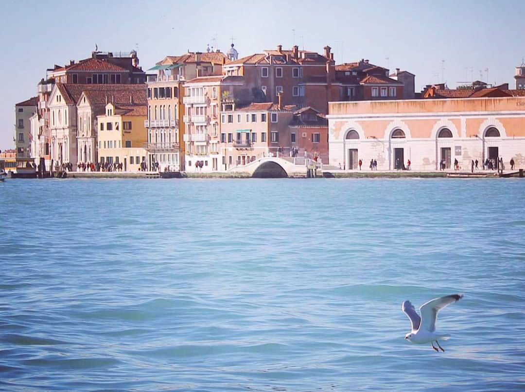 FB_IMG_1619433106778