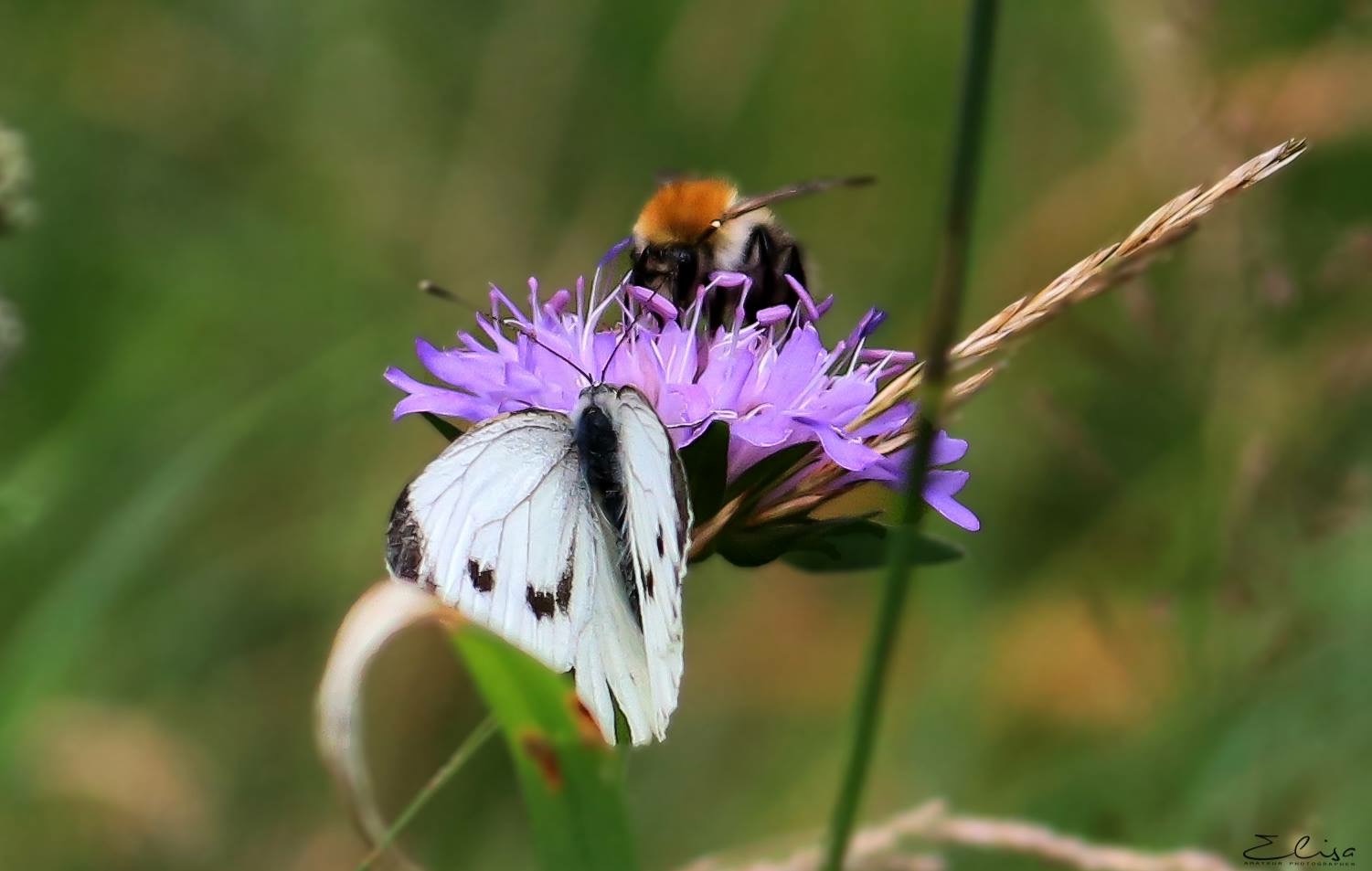 81C84679-6F1D-4EE5-9CFB-84E2B75E1835