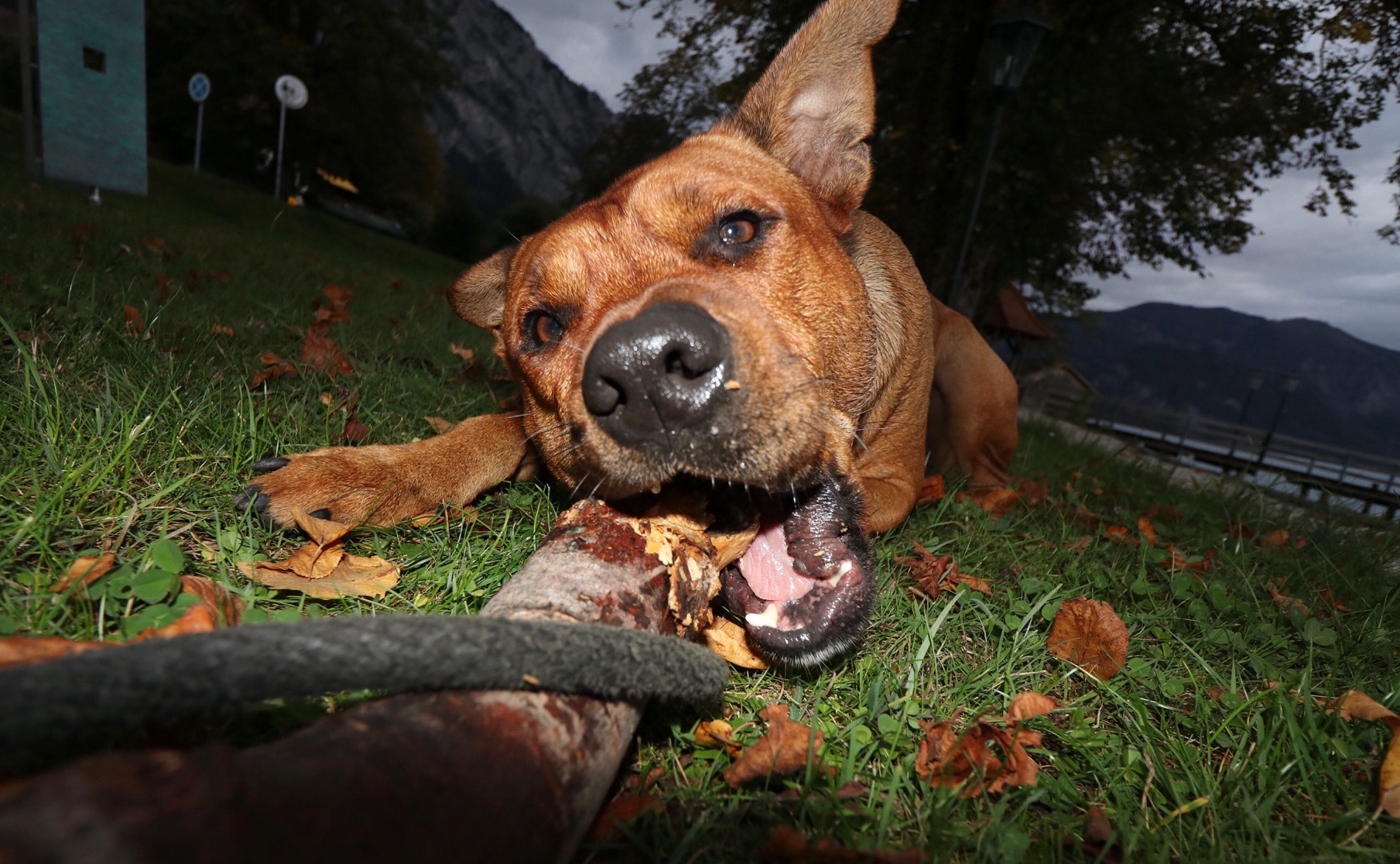 463F8238-6D37-4147-8EAB-B2A165953C03