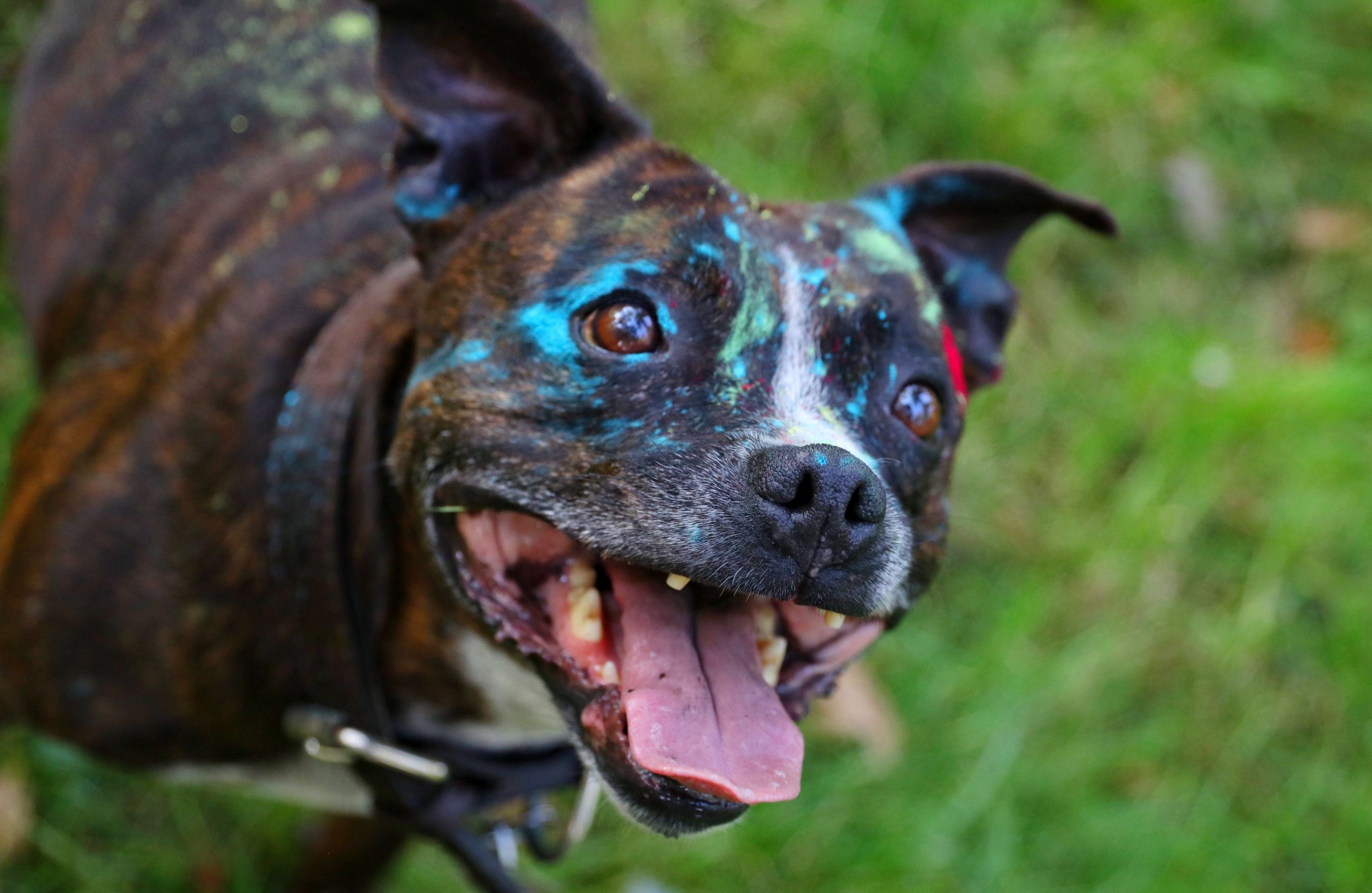 A2692BC0-3462-4052-8BA9-B809198A4CDA