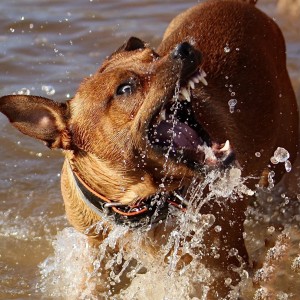 9A74B9B5-89E4-4EC7-836B-8BE80CBCCF70