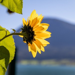 08BE28CF-6642-4556-B15D-2BD9566BAAAE