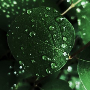 IMG_20200519_174625_370