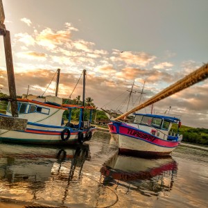 IMG_20210414_061959963_HDR