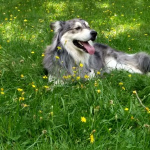 IMG_20200824_125123477_HDR