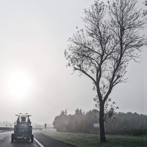 inbound2237487437060310647