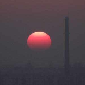 DSCN8187