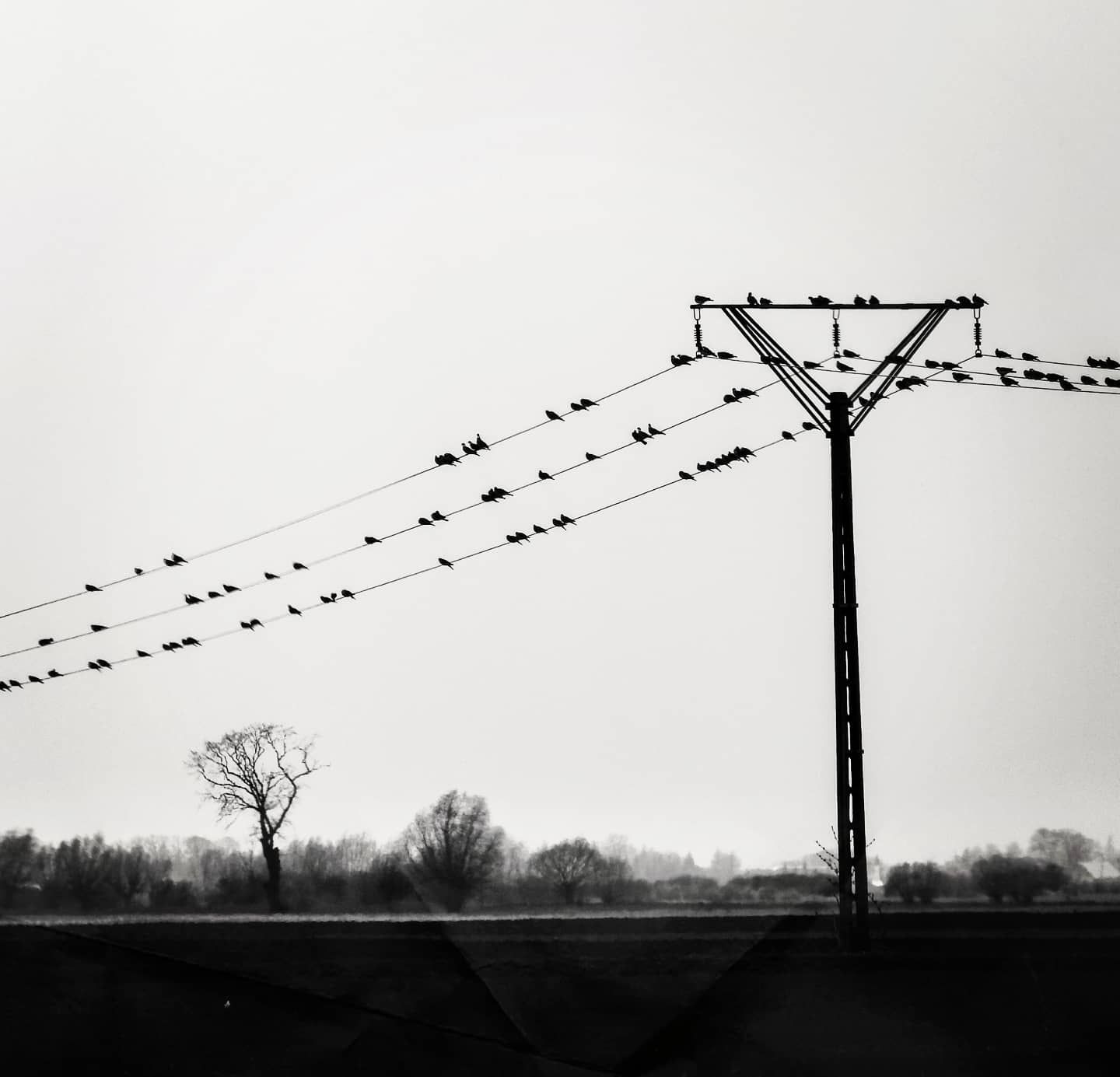 IMG_20210421_114908_054