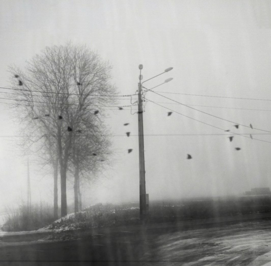 IMG_20210130_100506_771