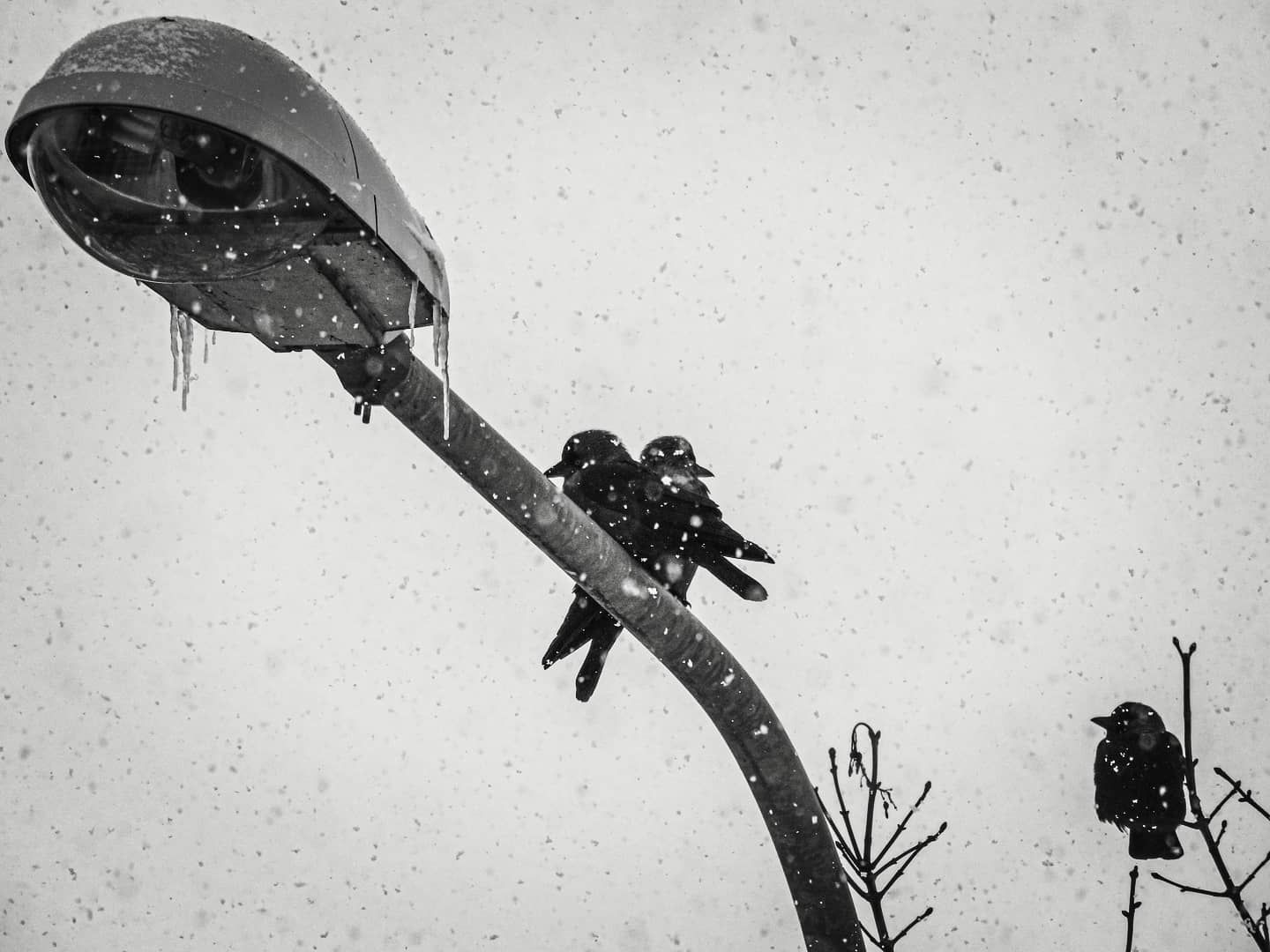 IMG_20210213_101547_661