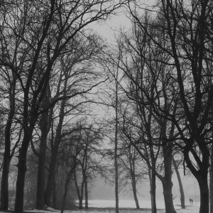 IMG_20210219_121016_919