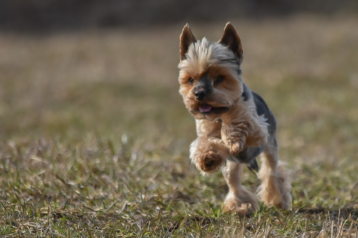 1A667DE6-AF48-4C19-8A4D-AD42E3D8E637