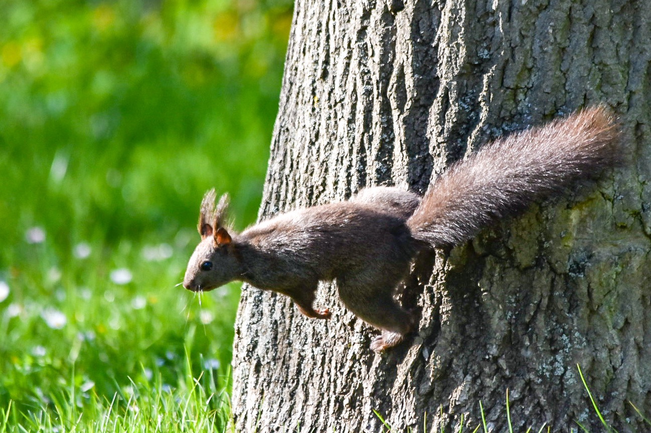 2E541CFE-45AC-4B6C-B02F-C88E5B9BD9A3