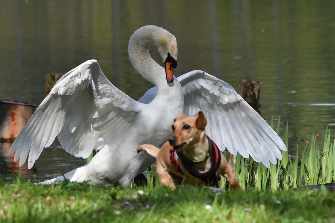 E199A99E-4066-4D0B-ABB9-61A40EA996AA