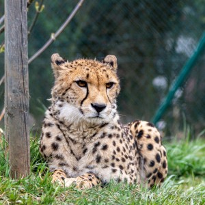 25972DA2-93E0-4058-9A60-35430293A86A