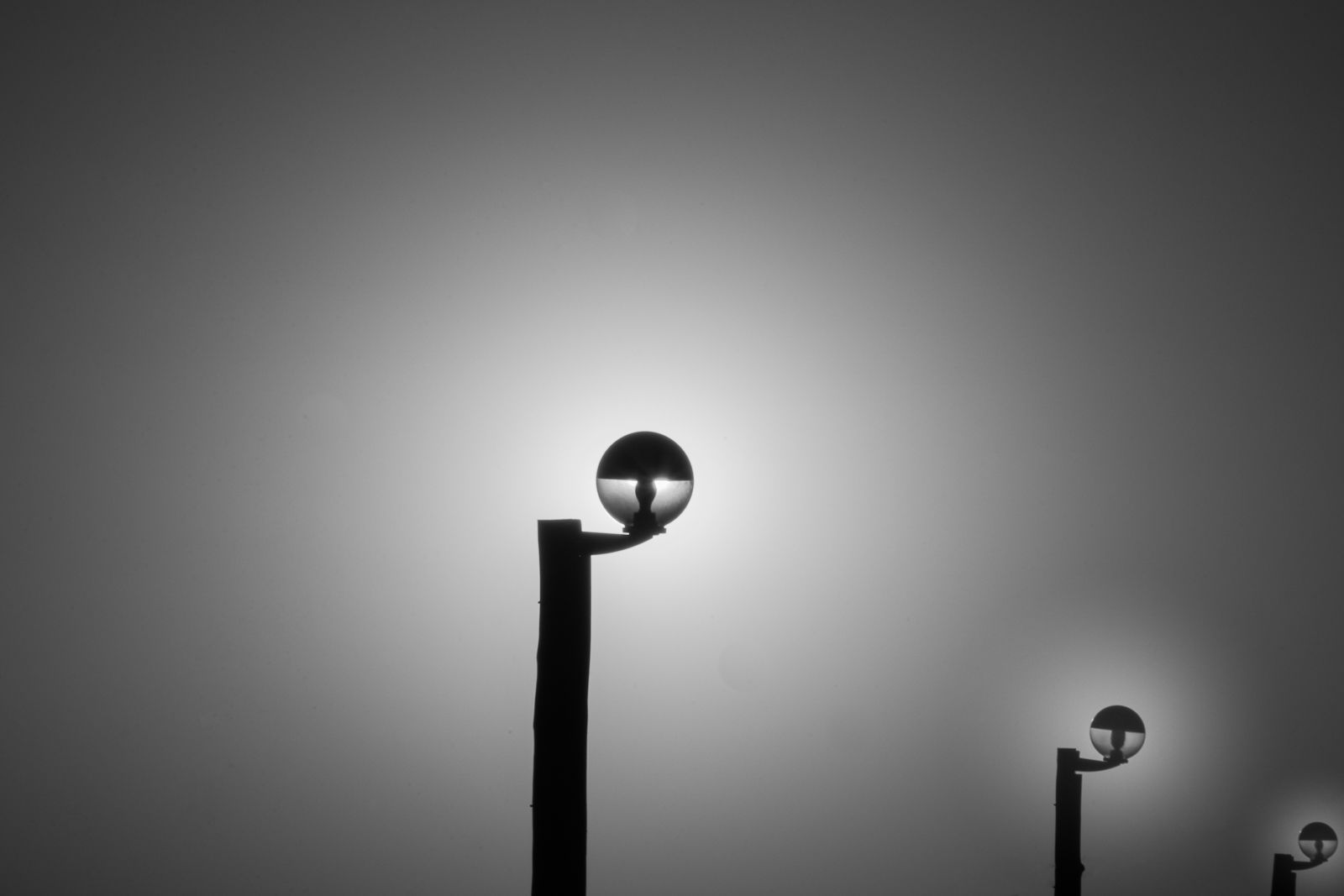 _DSC4983-Editar