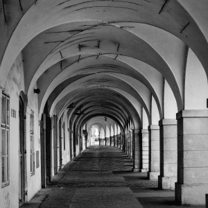 81553966_2684622371591274_1910558829452460032_n