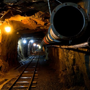 IMG_2687_2017_2017_x