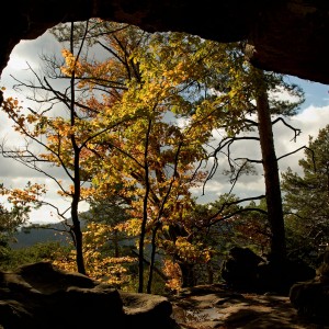 122725453_3436827796370724_5290899854678398606_n