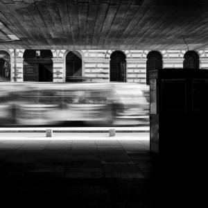 IMG_7730_2013