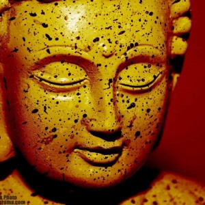 Budha