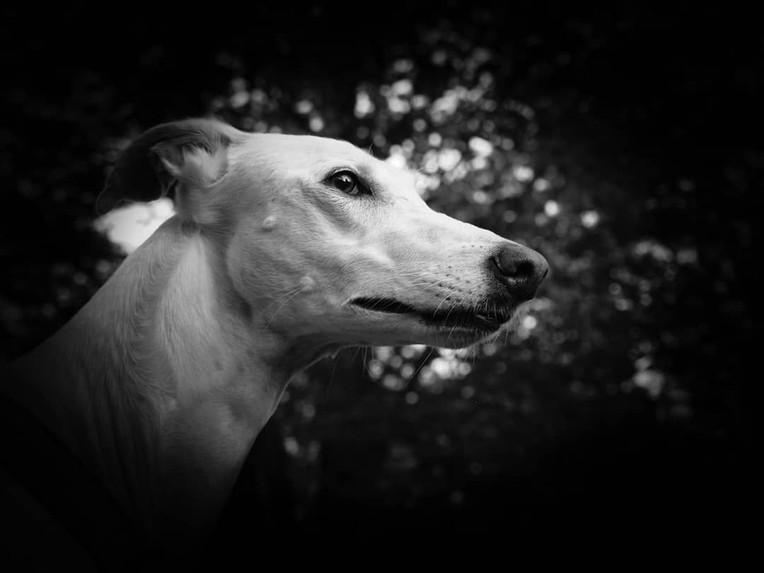 IMG_20210511_221202_266