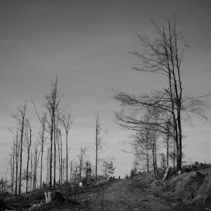 PSX_20210512_112015