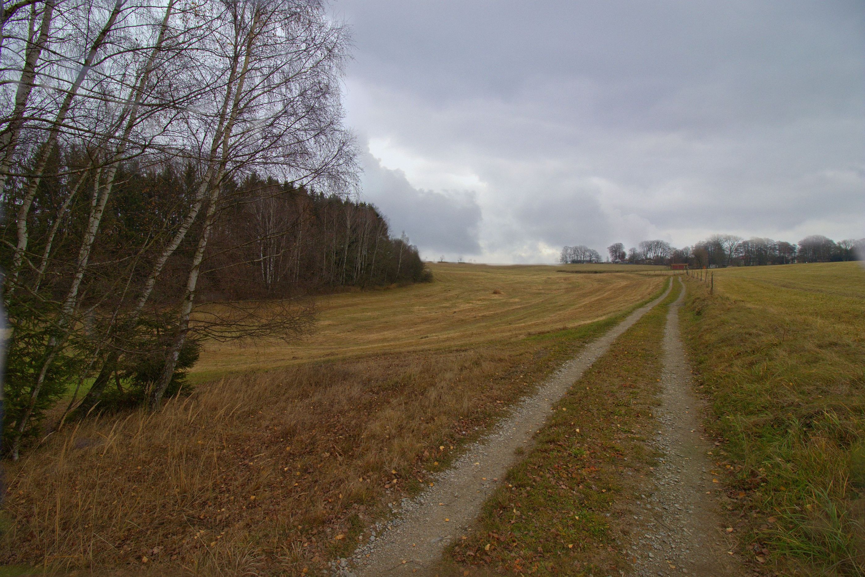 IMG_1344_v1-gimp01