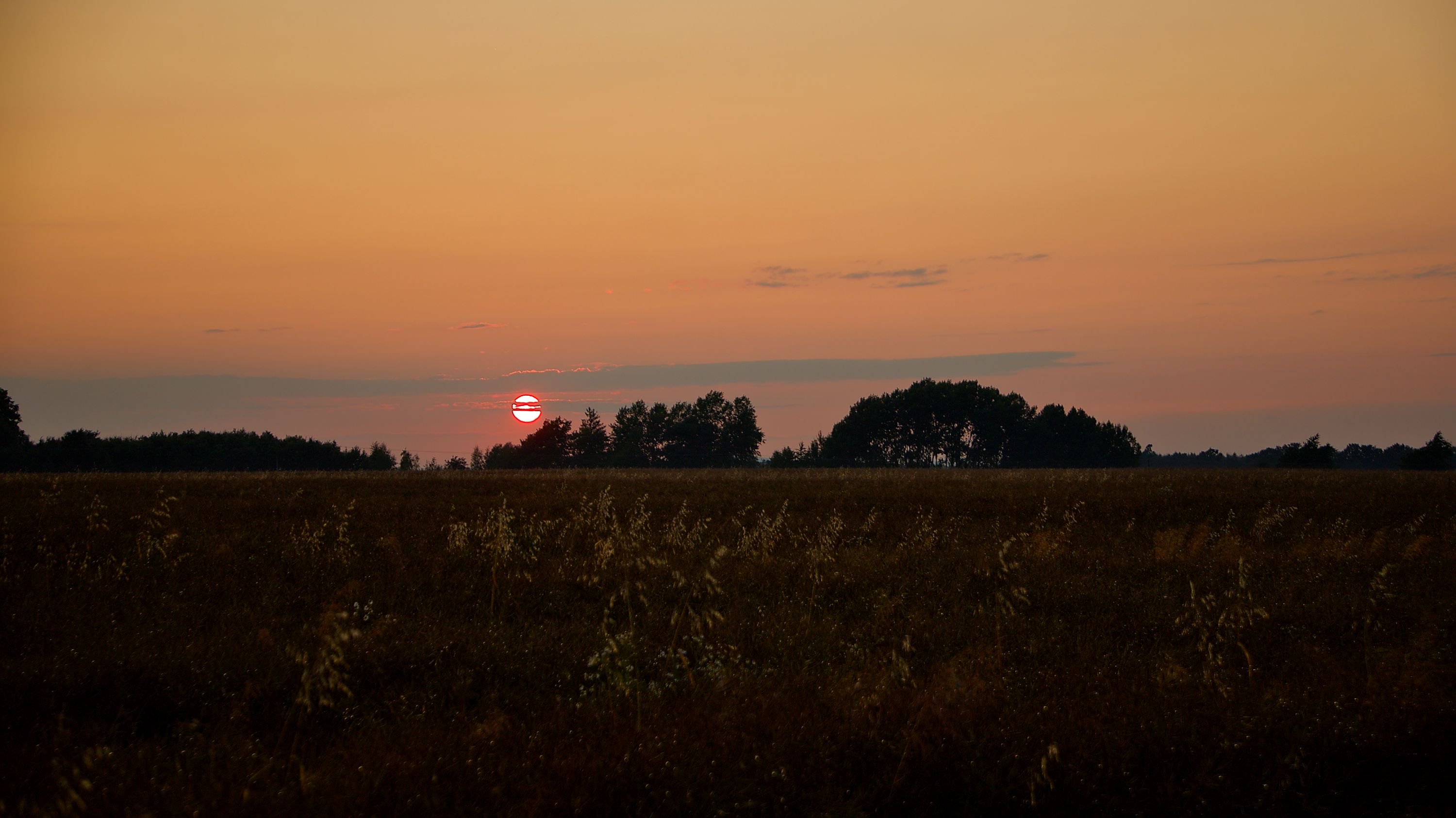 IMG_3020_01