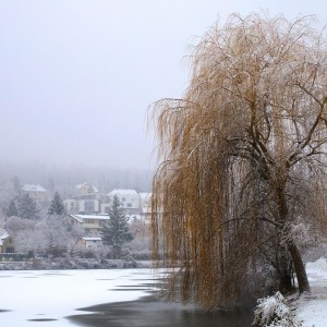 IMG_0242_v1-01