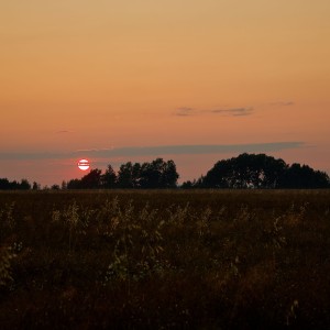 IMG_3020_01