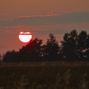 IMG_3026